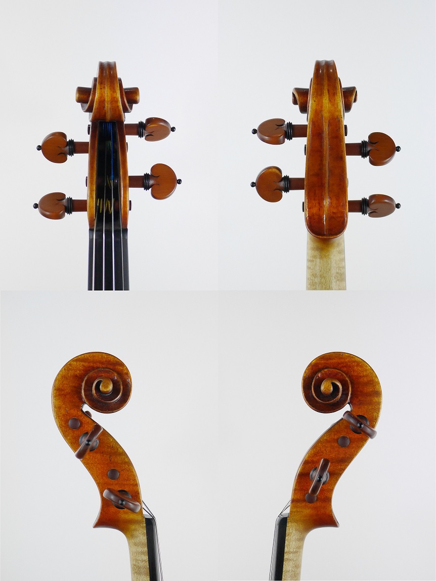 violin scroll